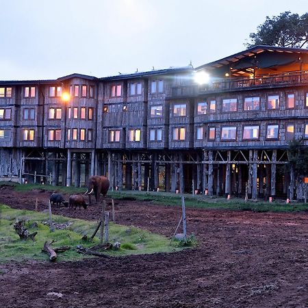 Treetops Mweiga Esterno foto