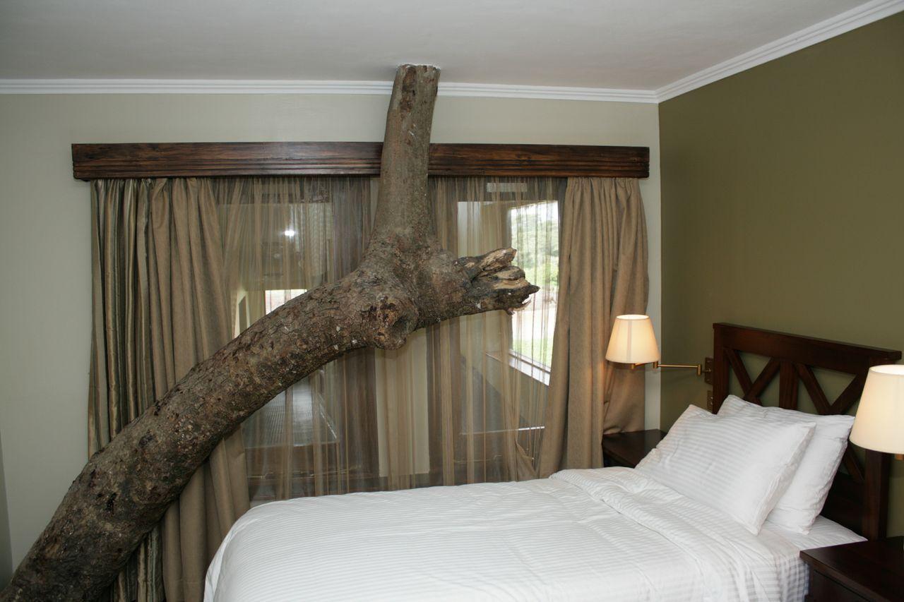 Treetops Mweiga Camera foto