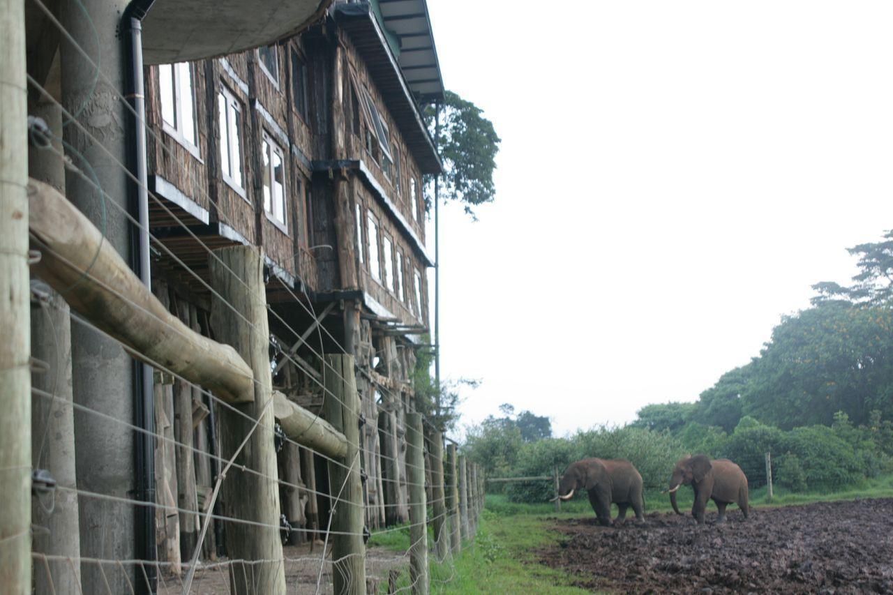 Treetops Mweiga Esterno foto