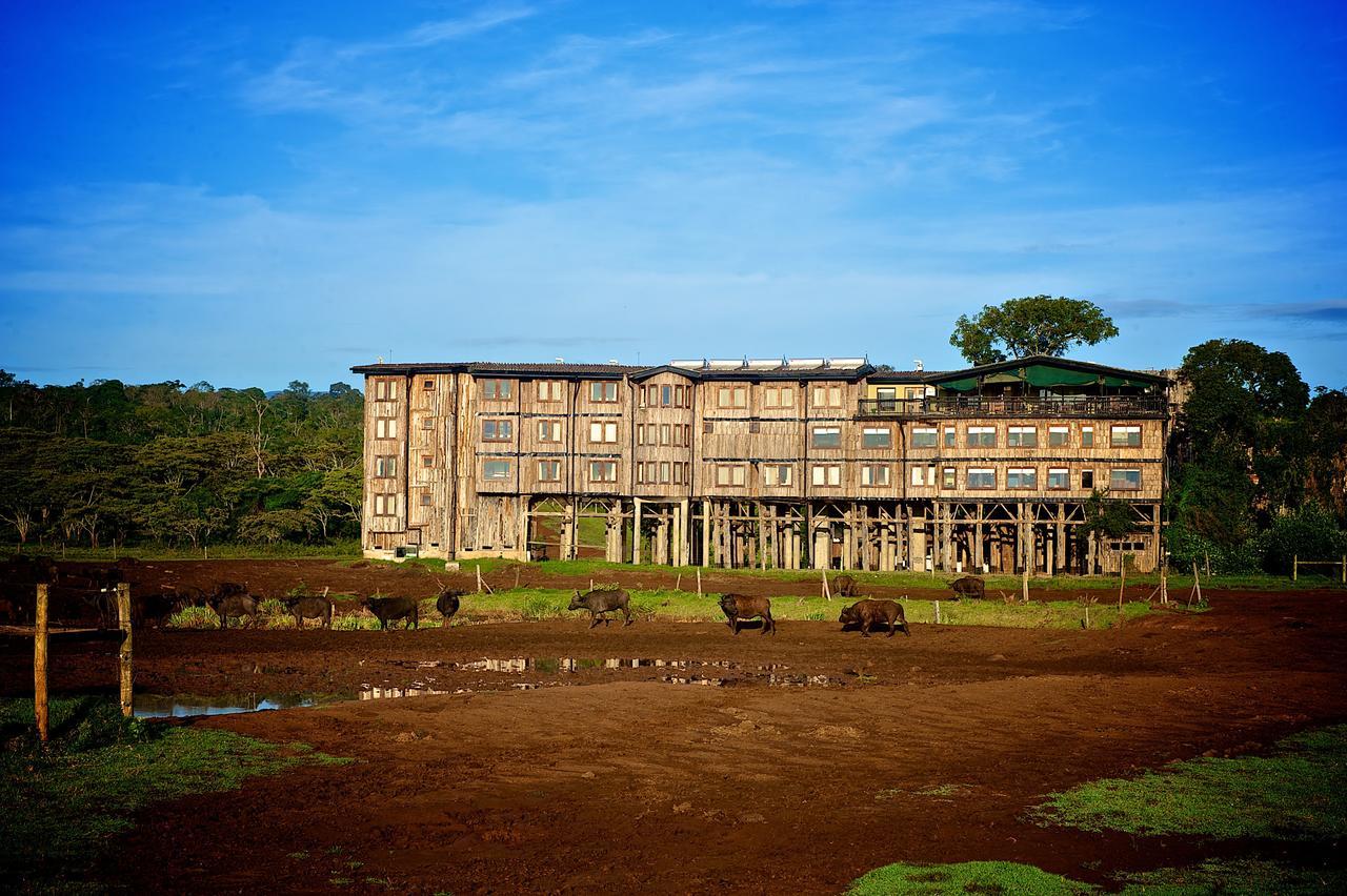 Treetops Mweiga Esterno foto