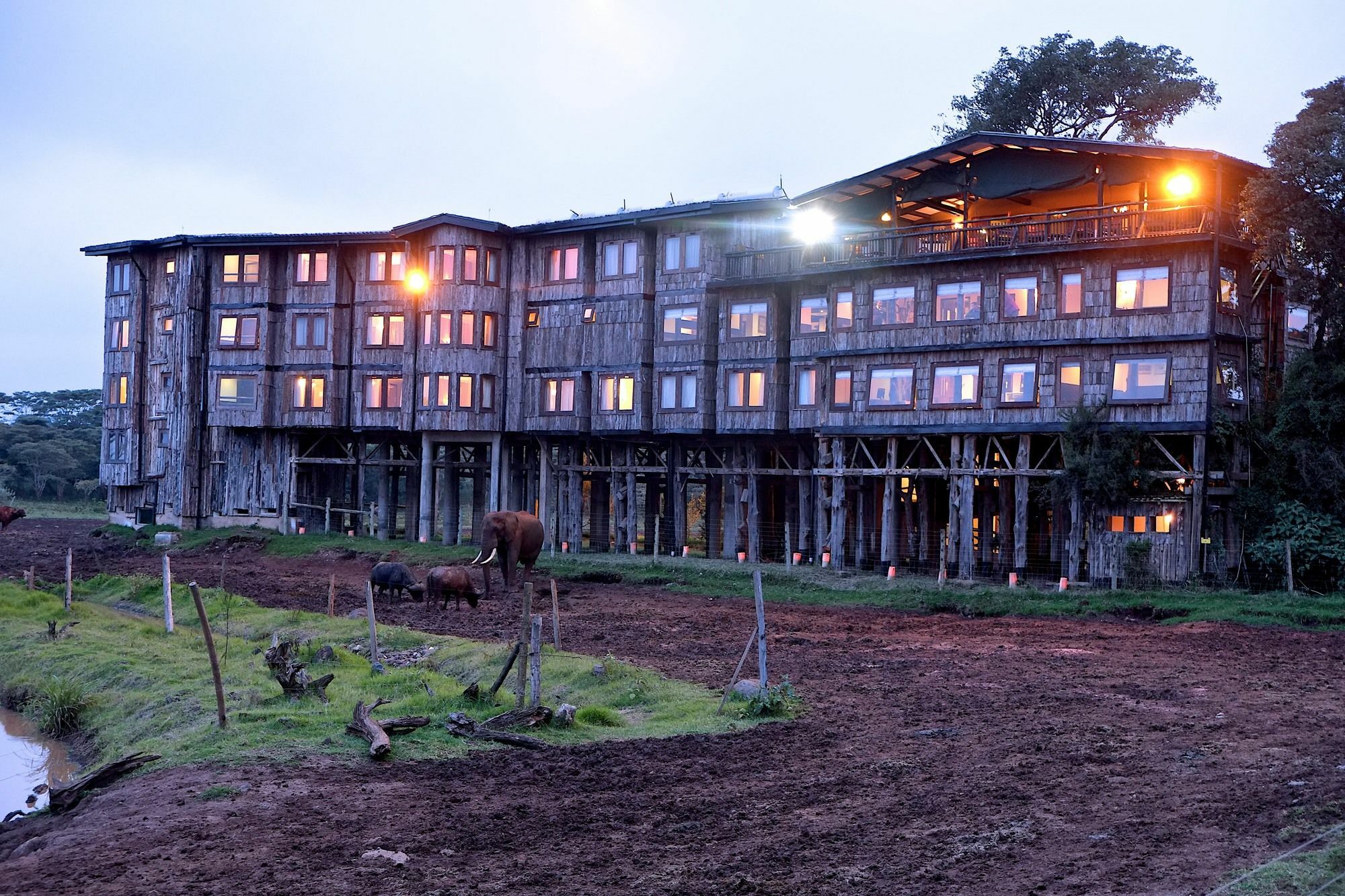 Treetops Mweiga Esterno foto