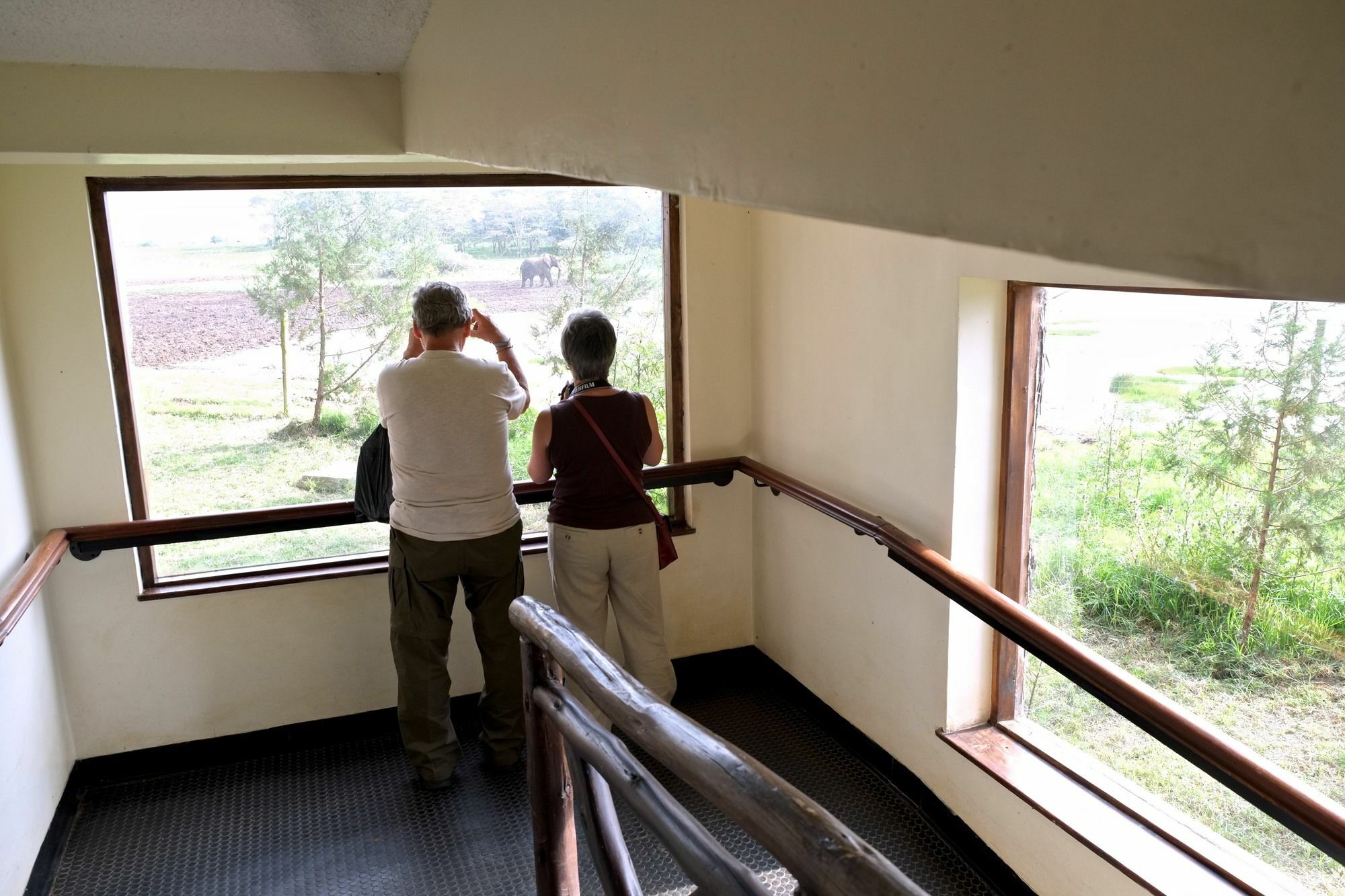 Treetops Mweiga Esterno foto